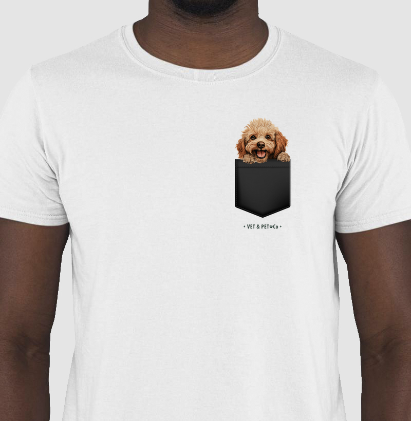 Cachorro de bolso (Poodle Toy)