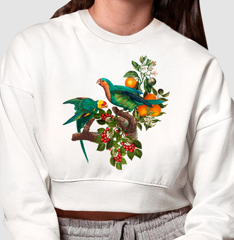 Colagens - Psitas, Flores e Frutas - Moletom Cropped