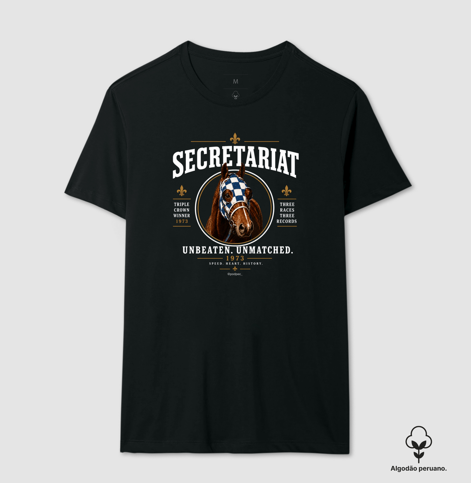 Secretariat - 3 Record's