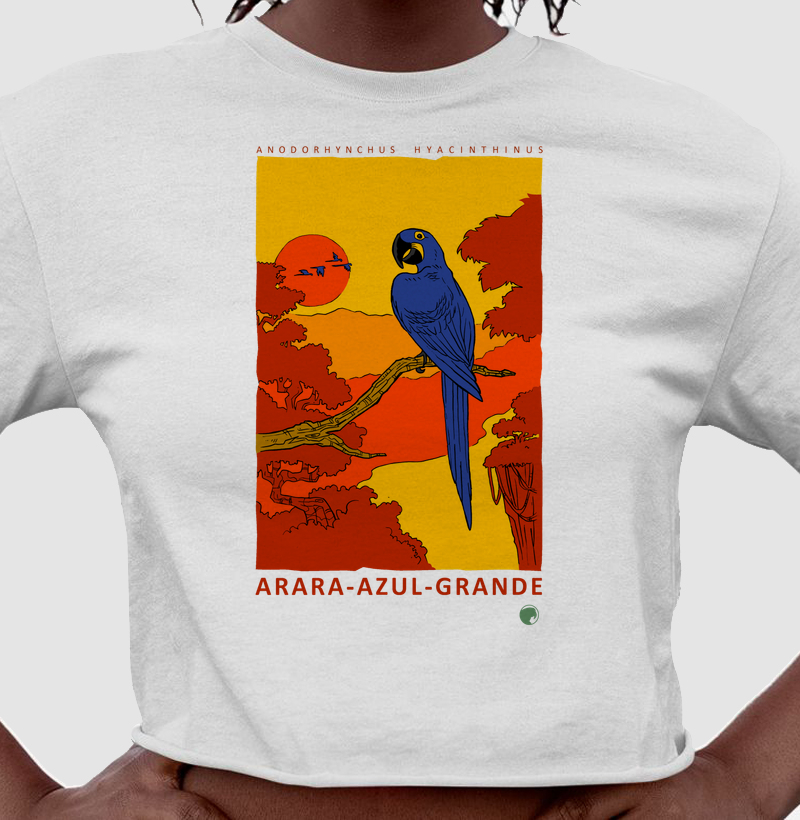 Arara-azul - Cropped