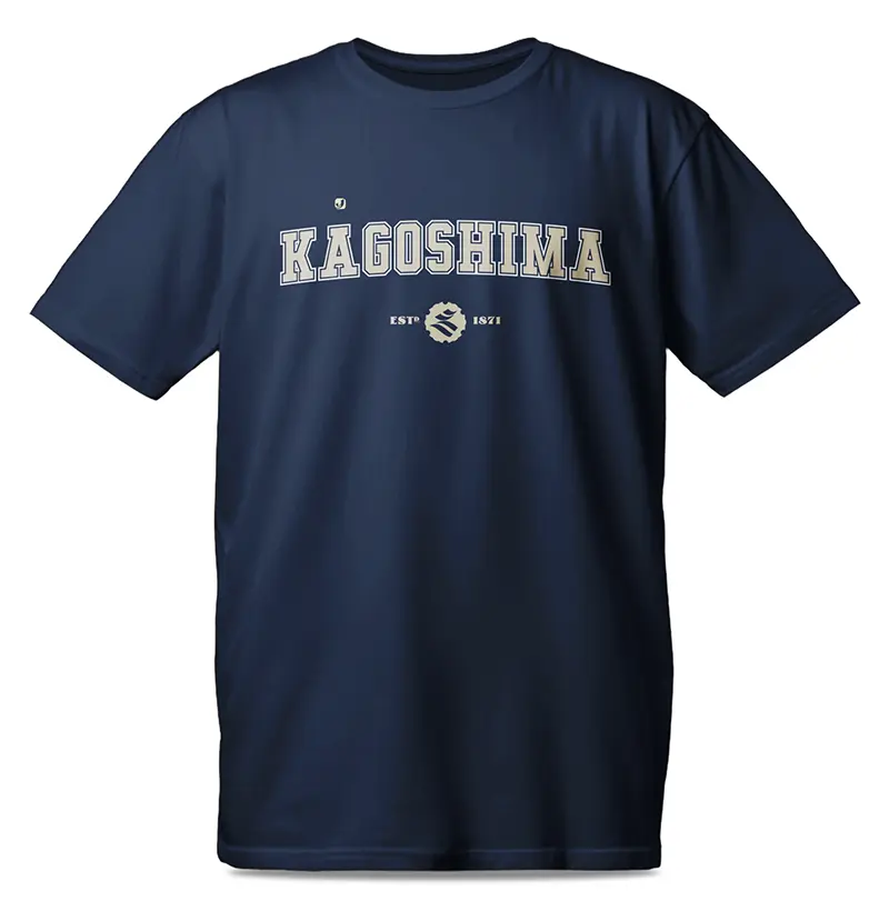 Província de Kagoshima