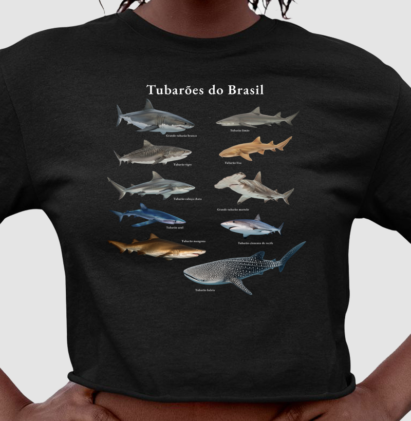 Tubarões do Brasil - Cropped