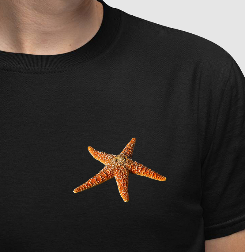 Estrela do Mar