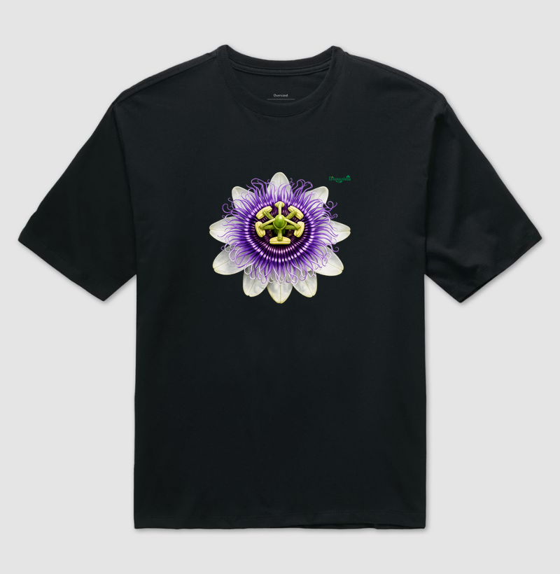 Flor da paixão