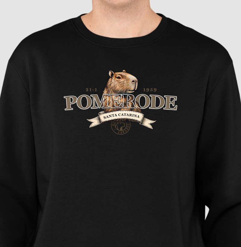 Cidade Pomerode - SC