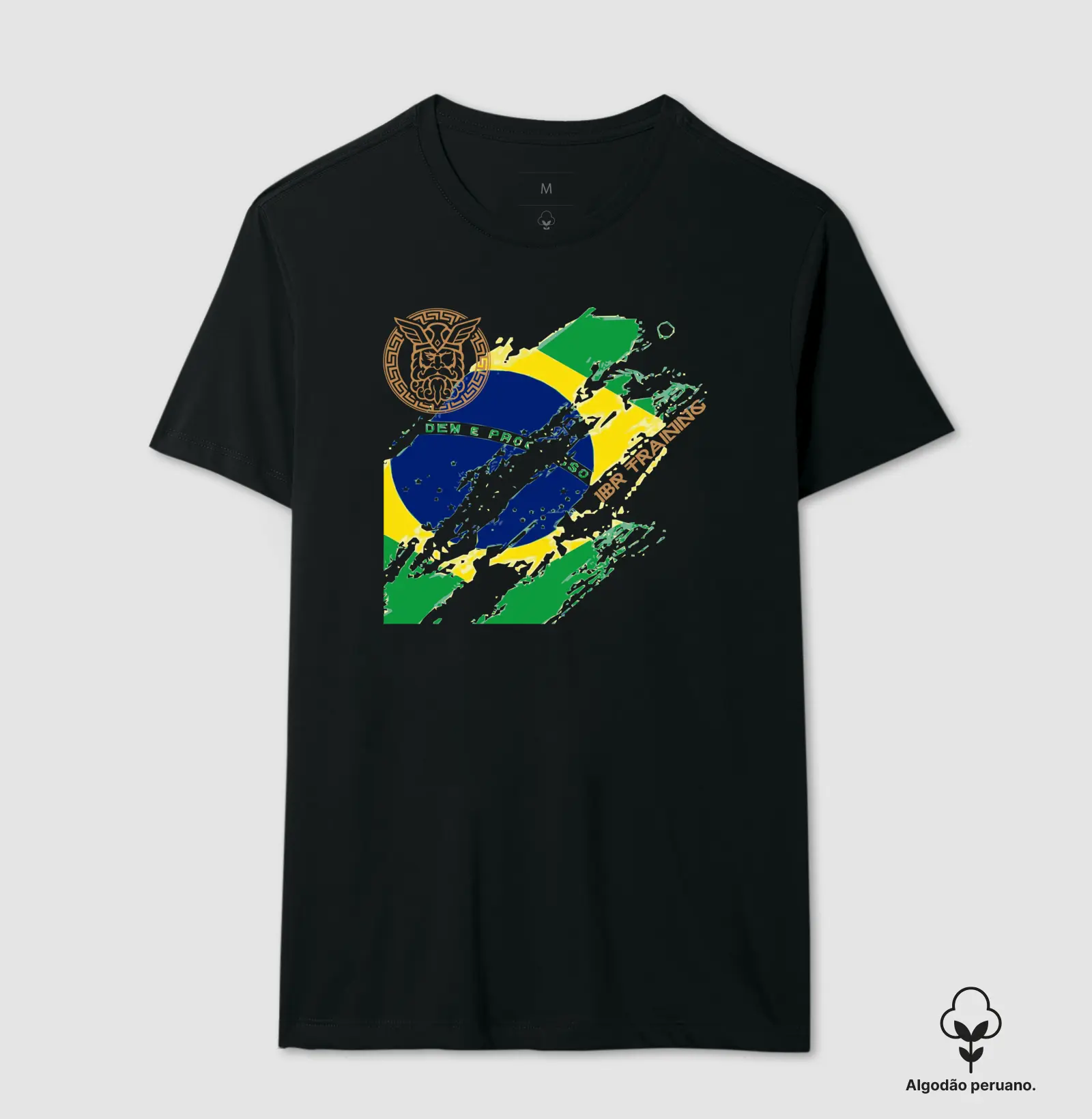 Bandeira do Brasil 1BR