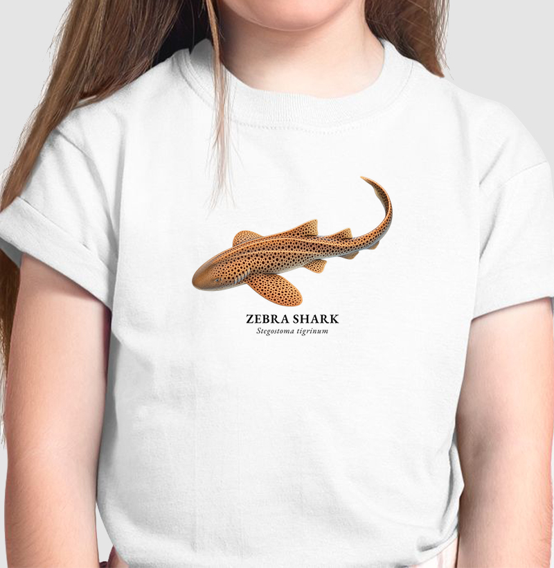 Zebra Shark