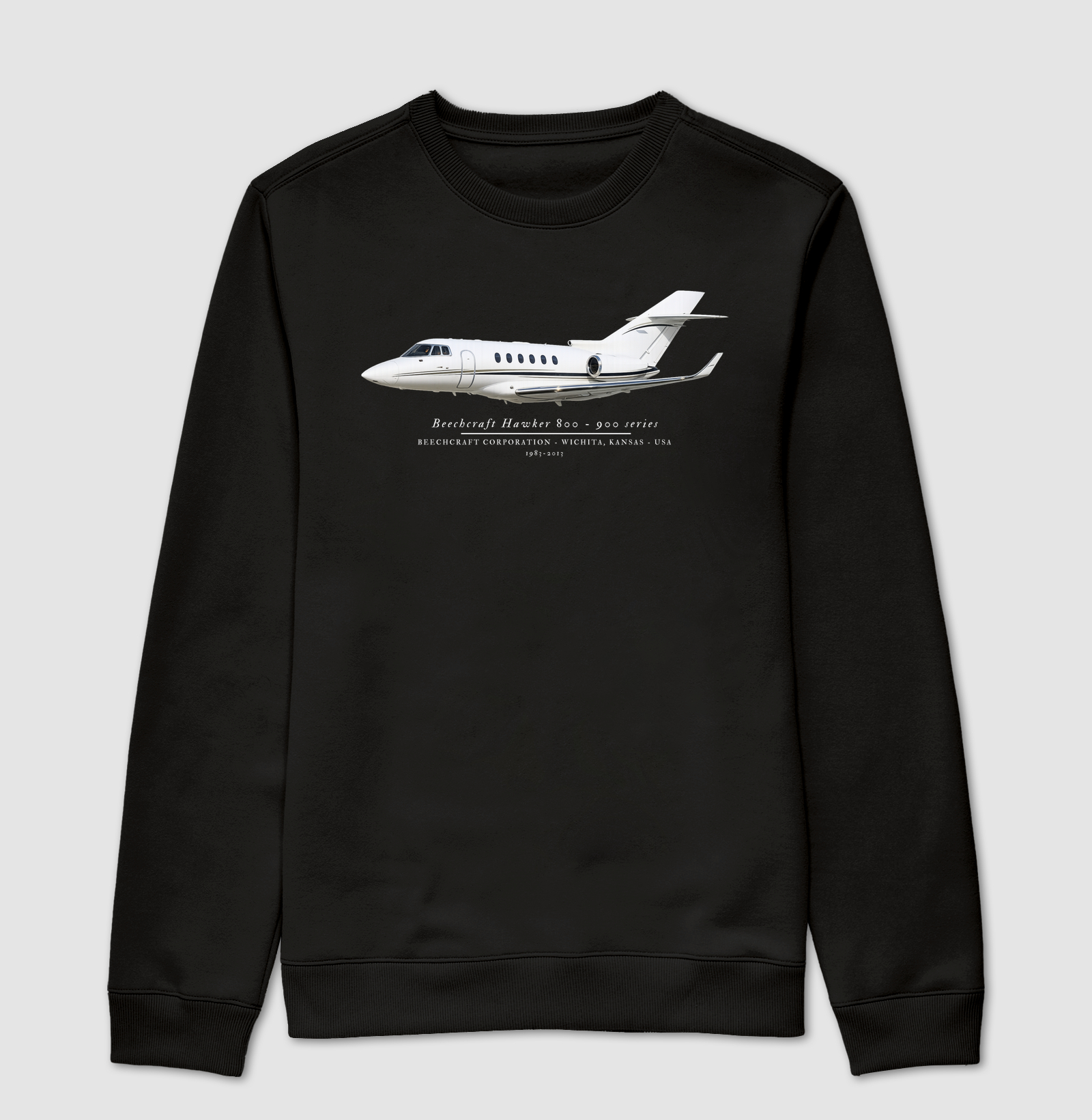 Beechcraft Hawker 800 - 900 series