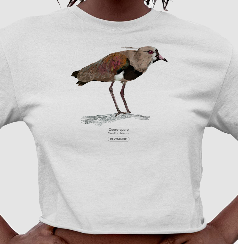 Aves do Brasil - Quero-Quero - Cropped