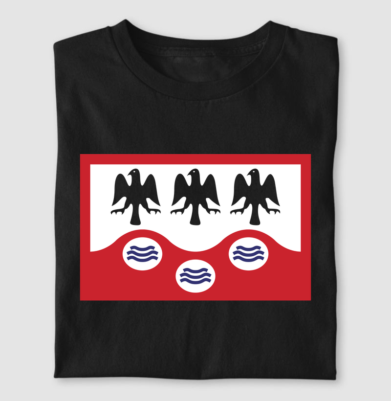 Bandeira de Garanhuns | Do Seu Jeito
