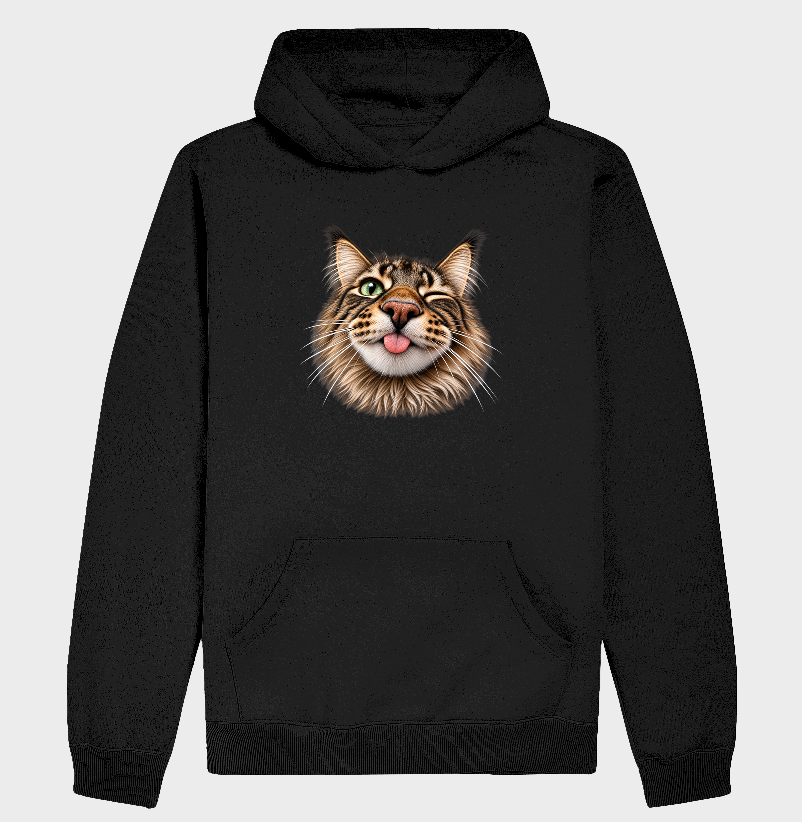 focinhos - maine coon