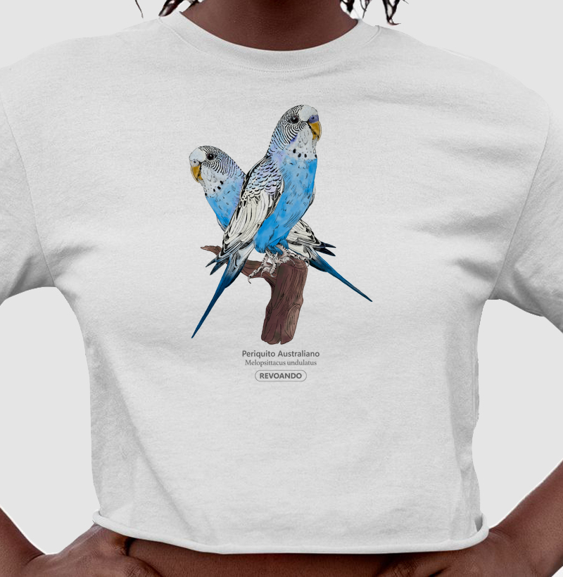 Love Friends - Periquito Australiano Azul - Cropped