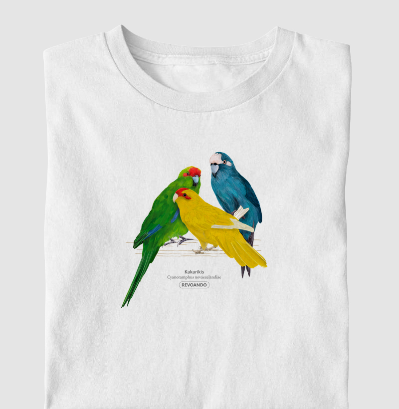 Love Friends - Kakarikis - Infantil