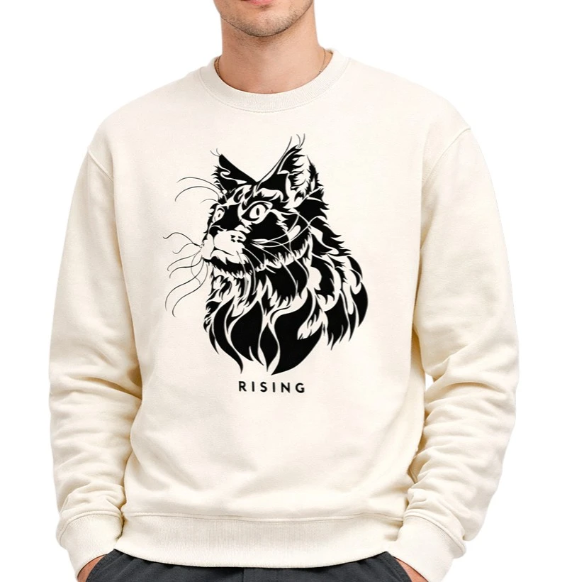 Curious Cat - Rising