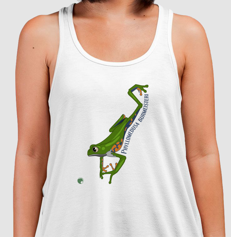 Phyllomedusa burmeisteri