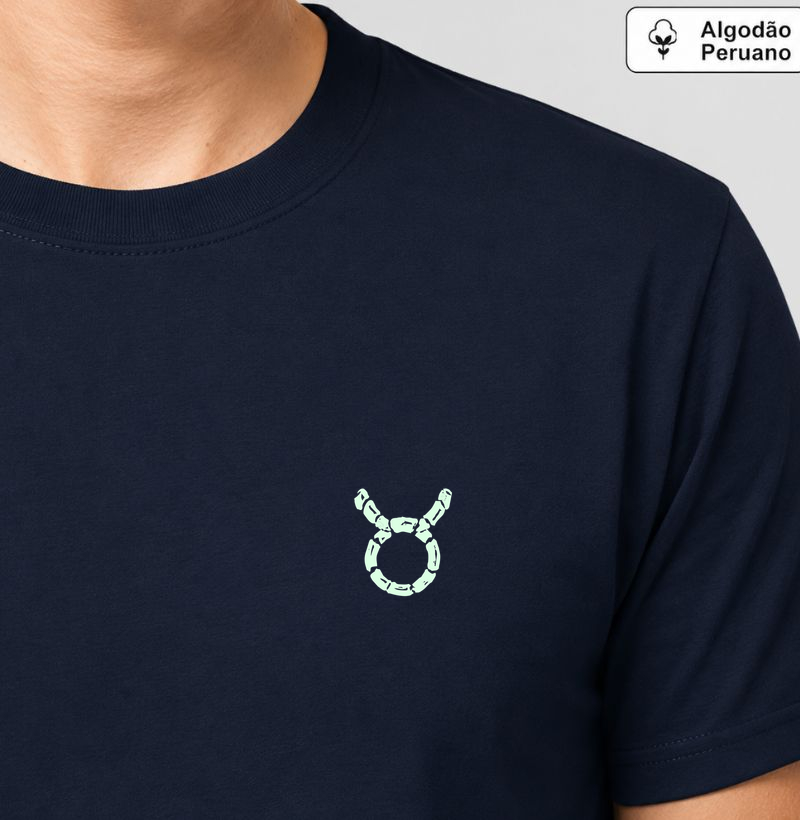Touro