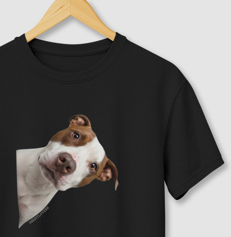 PITBULL NO CANTO CURIOSO