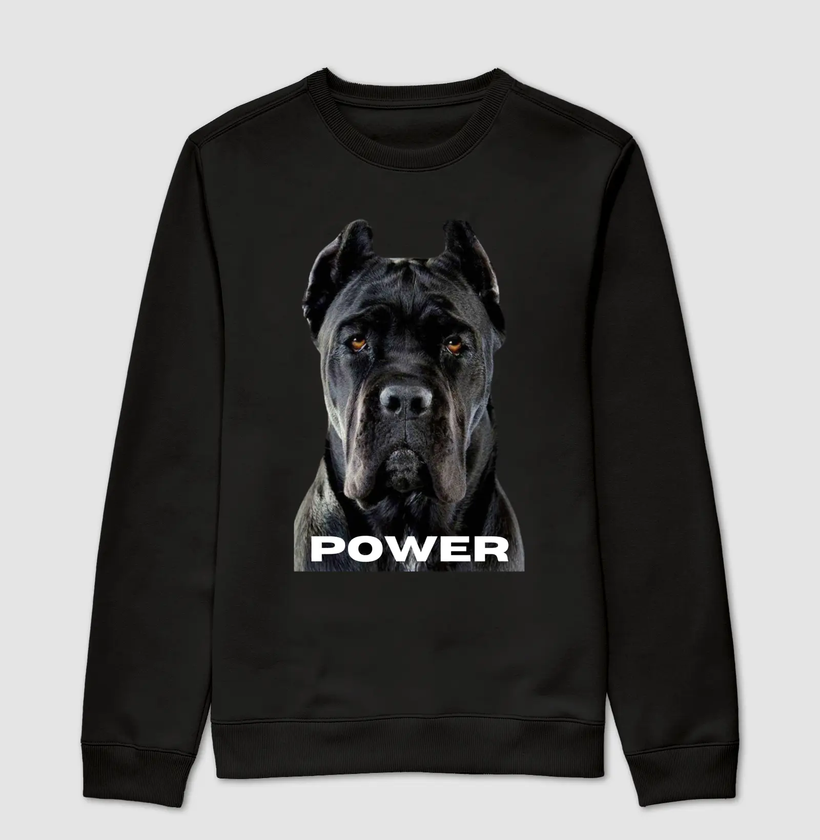 Cane Corso Power