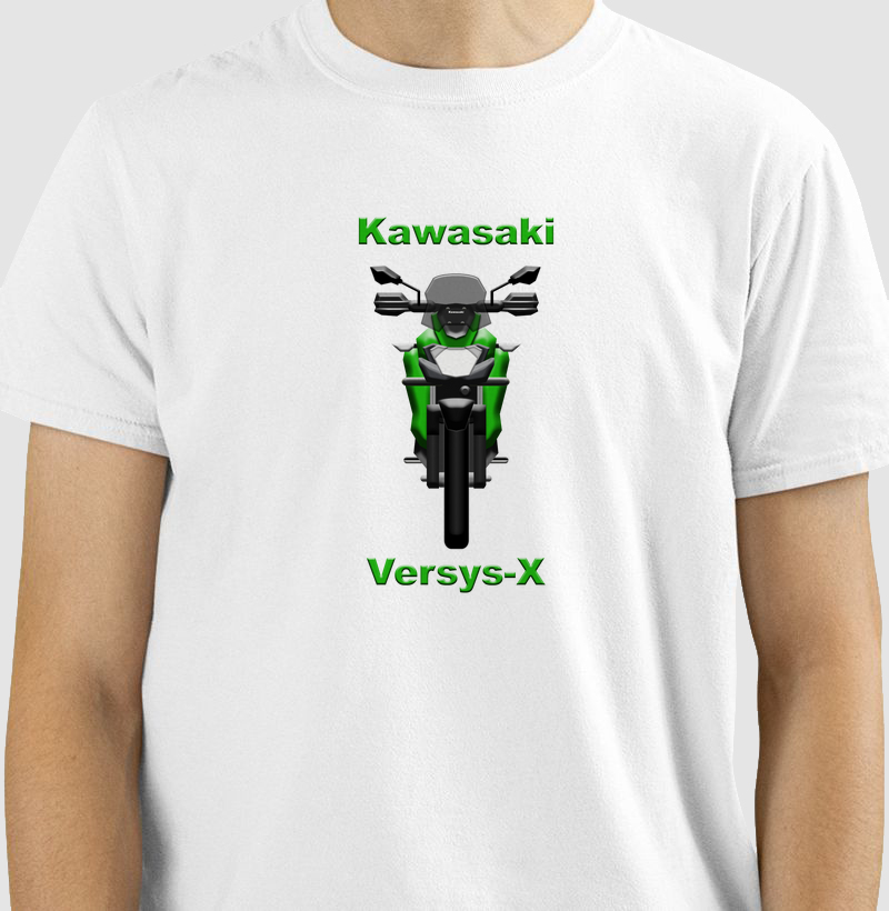 Kawasaki Versys X 300