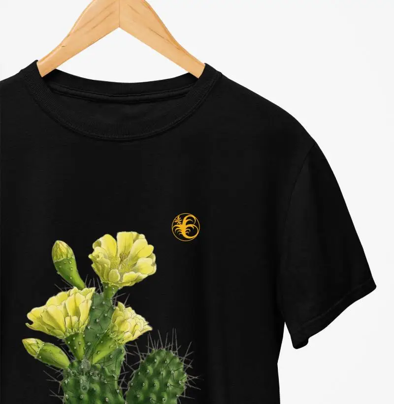 CACTUS VI