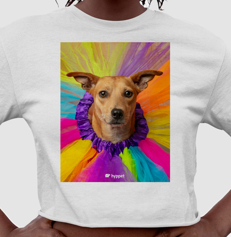 Camiseta Cropped Pet Gala Carnaval