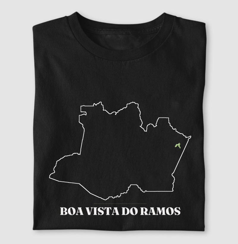 Boa Vista do Ramos | Traço AM