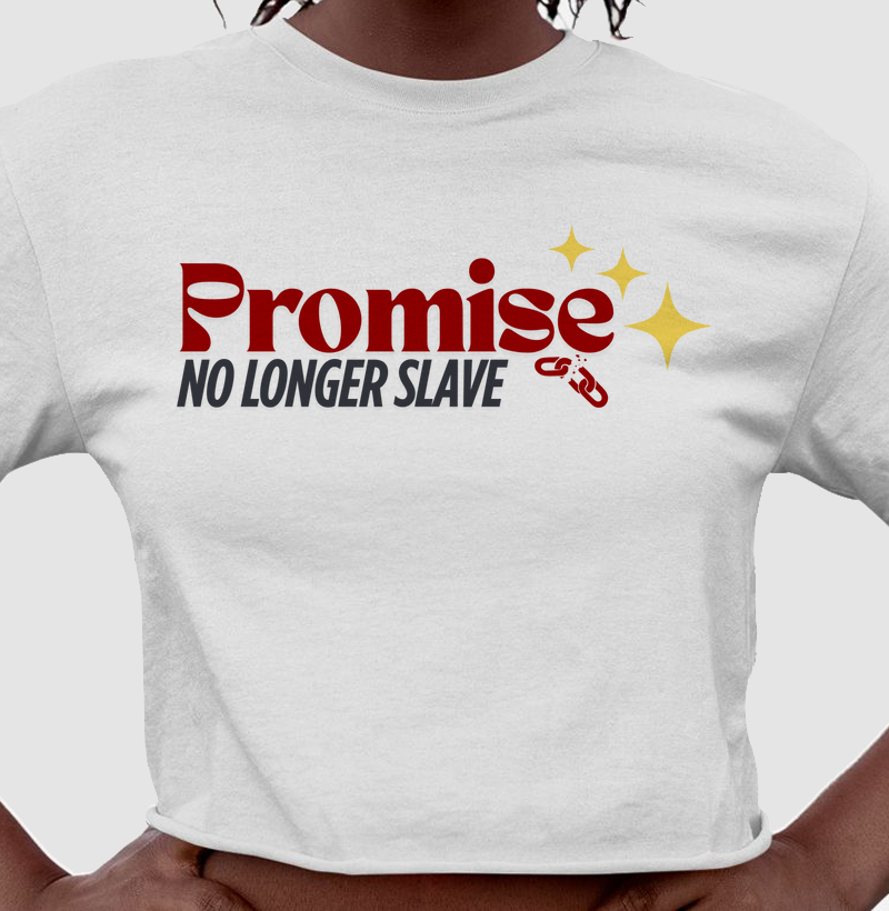 Promise WhiteSlave
