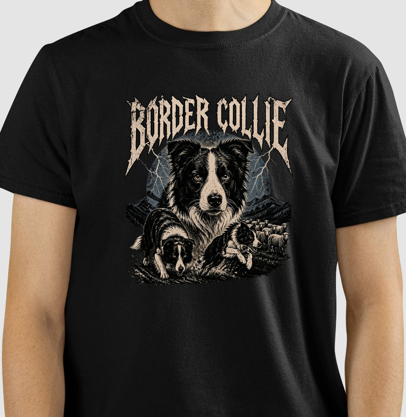 Border Collie