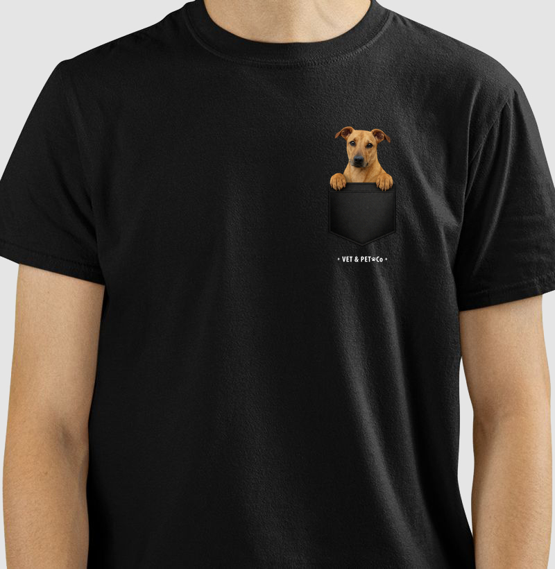 Cachorro de bolso (Vira-lata Caramelo)