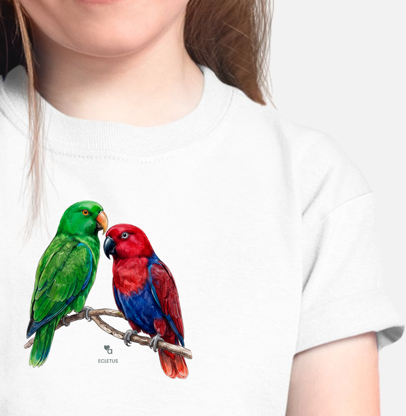 Aves - Casal Ecletus - Infantil