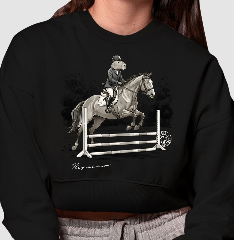Hipismo - Cavaleiro