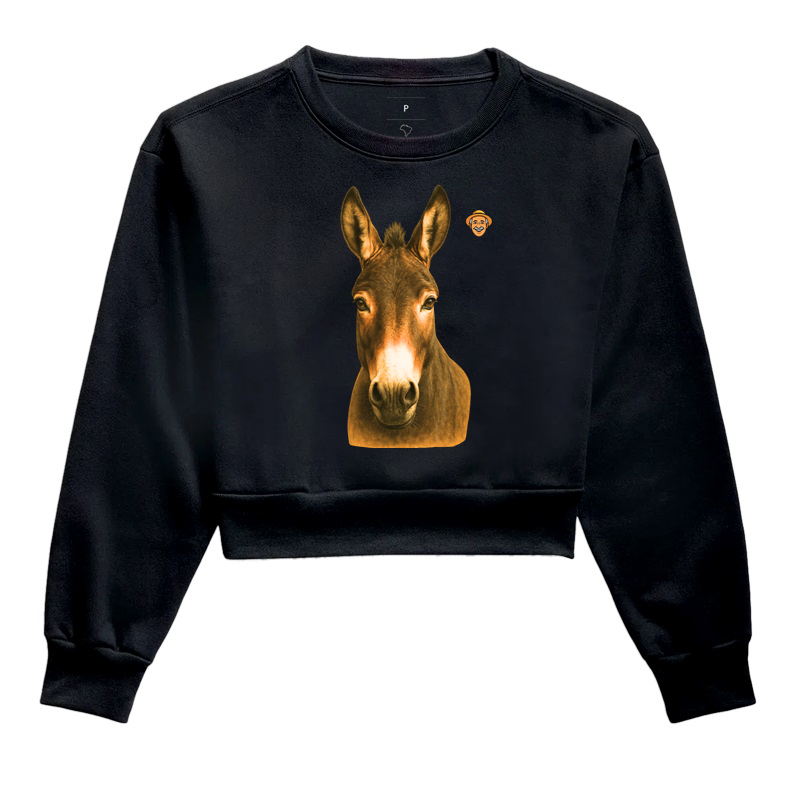Burro