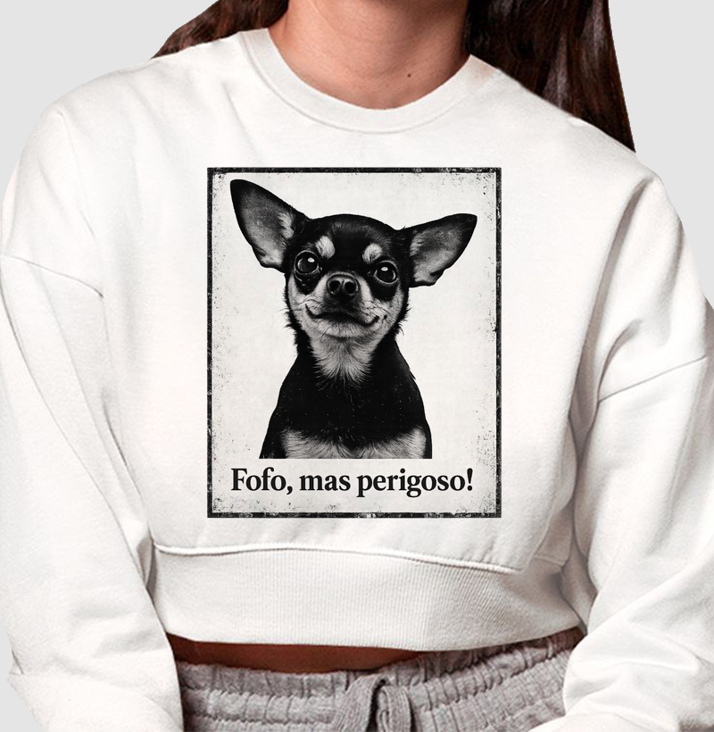 Pinscher - fofo, mas perigoso