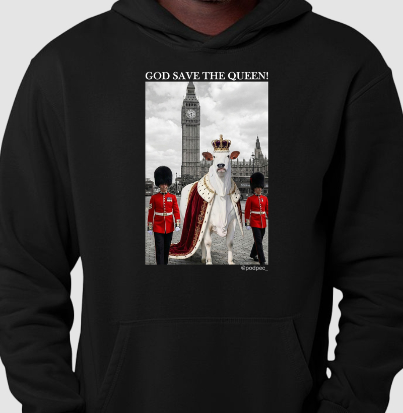 God Save The Queen (Moletom)