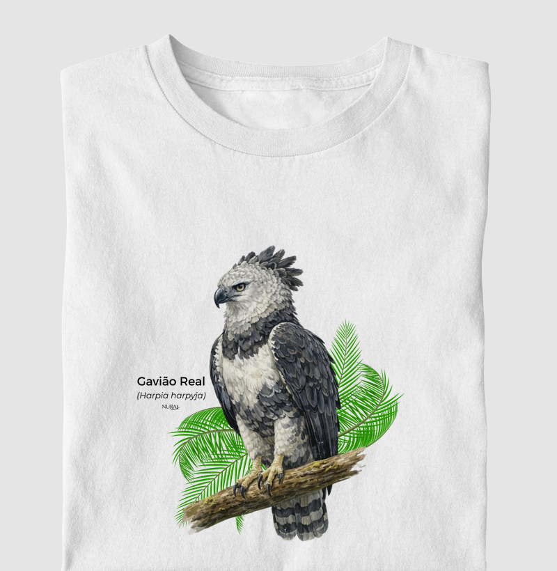 Gavião Real (Harpia harpyja)