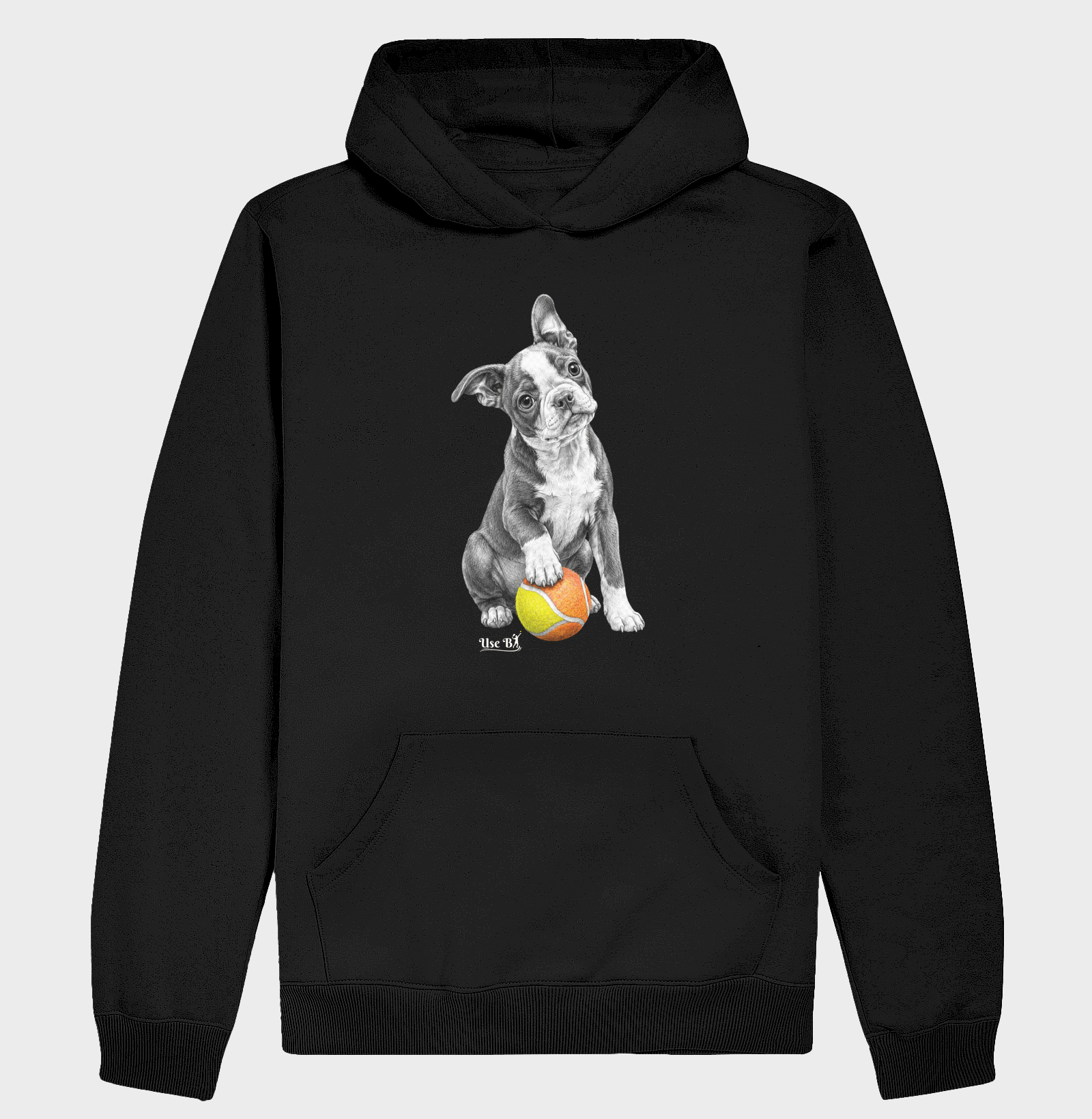 Boston Terrier do Beach