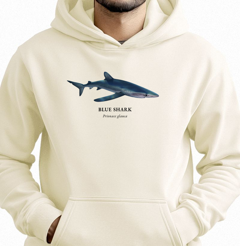 Blue Shark