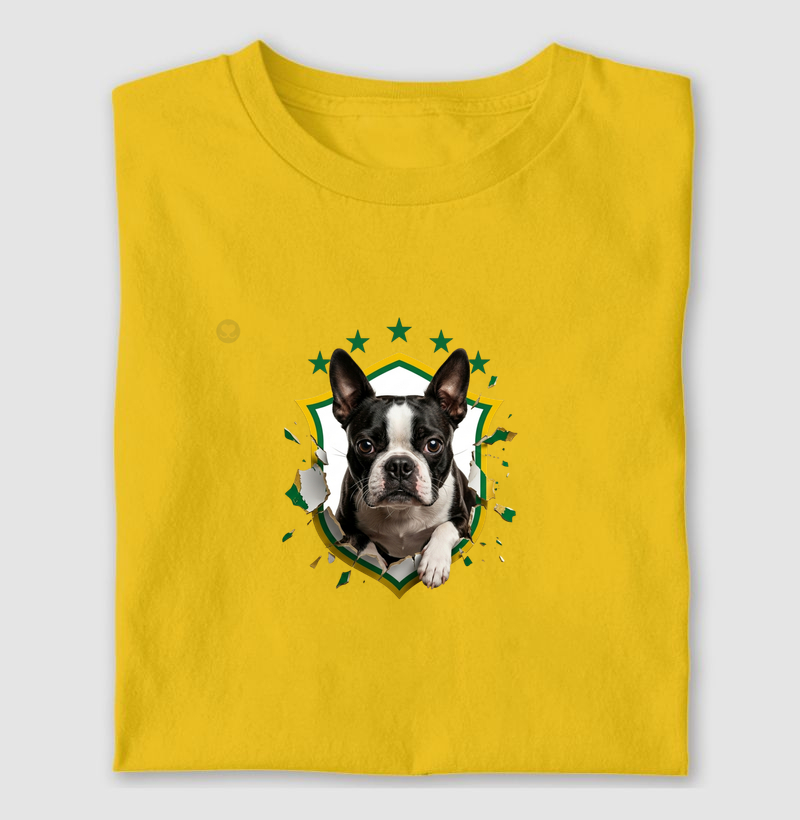 Boston Brasil