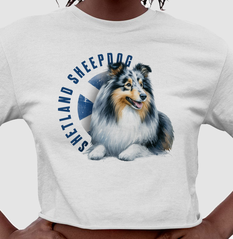 Shetland Sheepdog