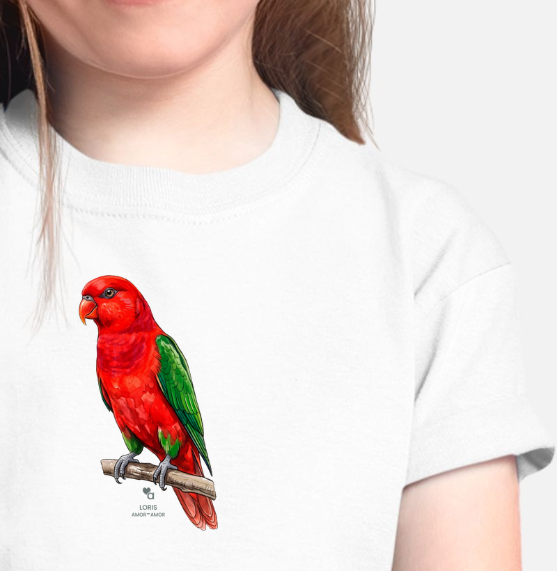 Aves - Lóris Amor-Amor - Infantil