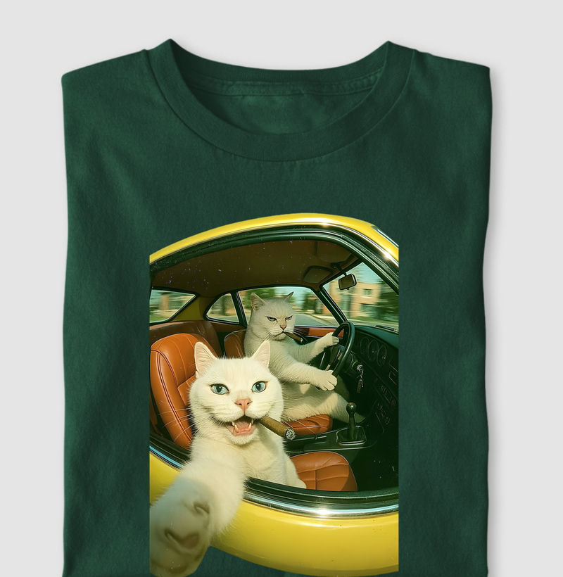 Velozes e Felinos