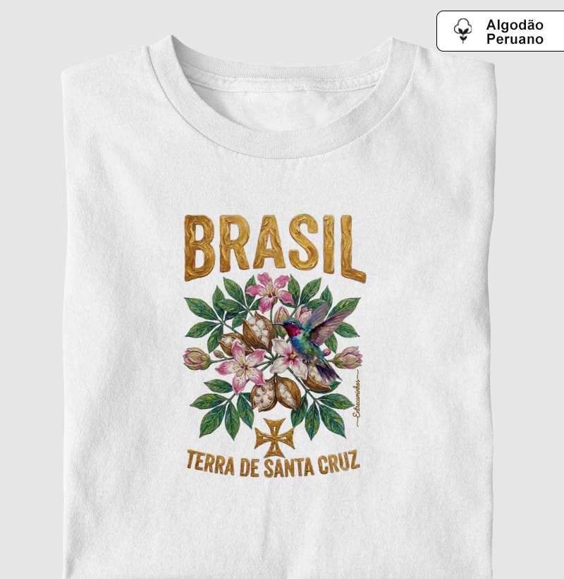 Paineira e Beija-flor