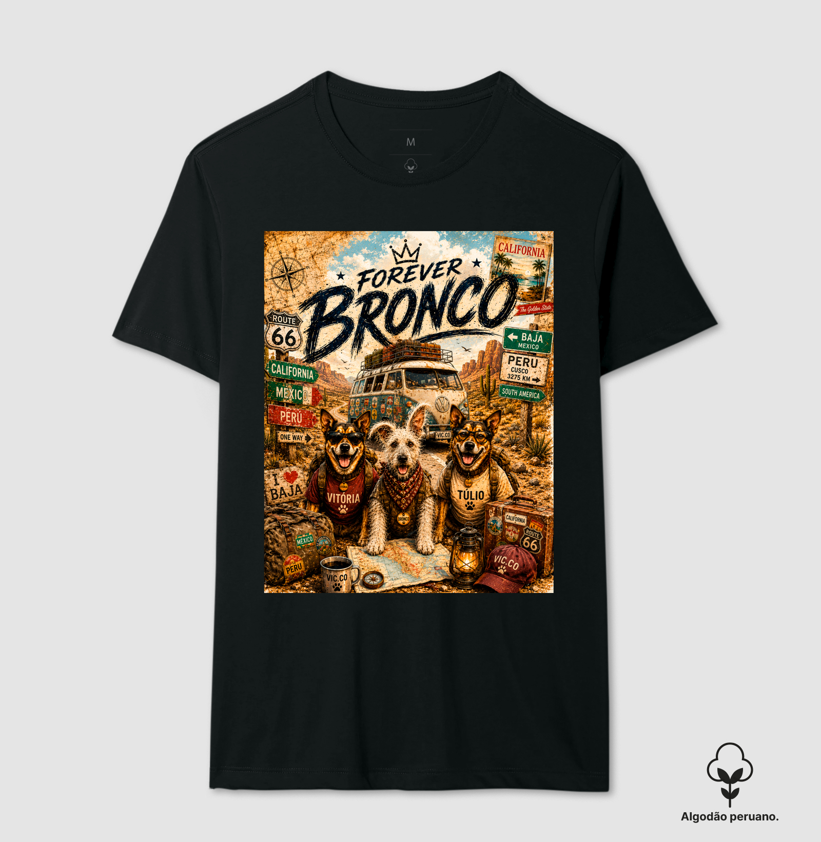 Forever Bronco