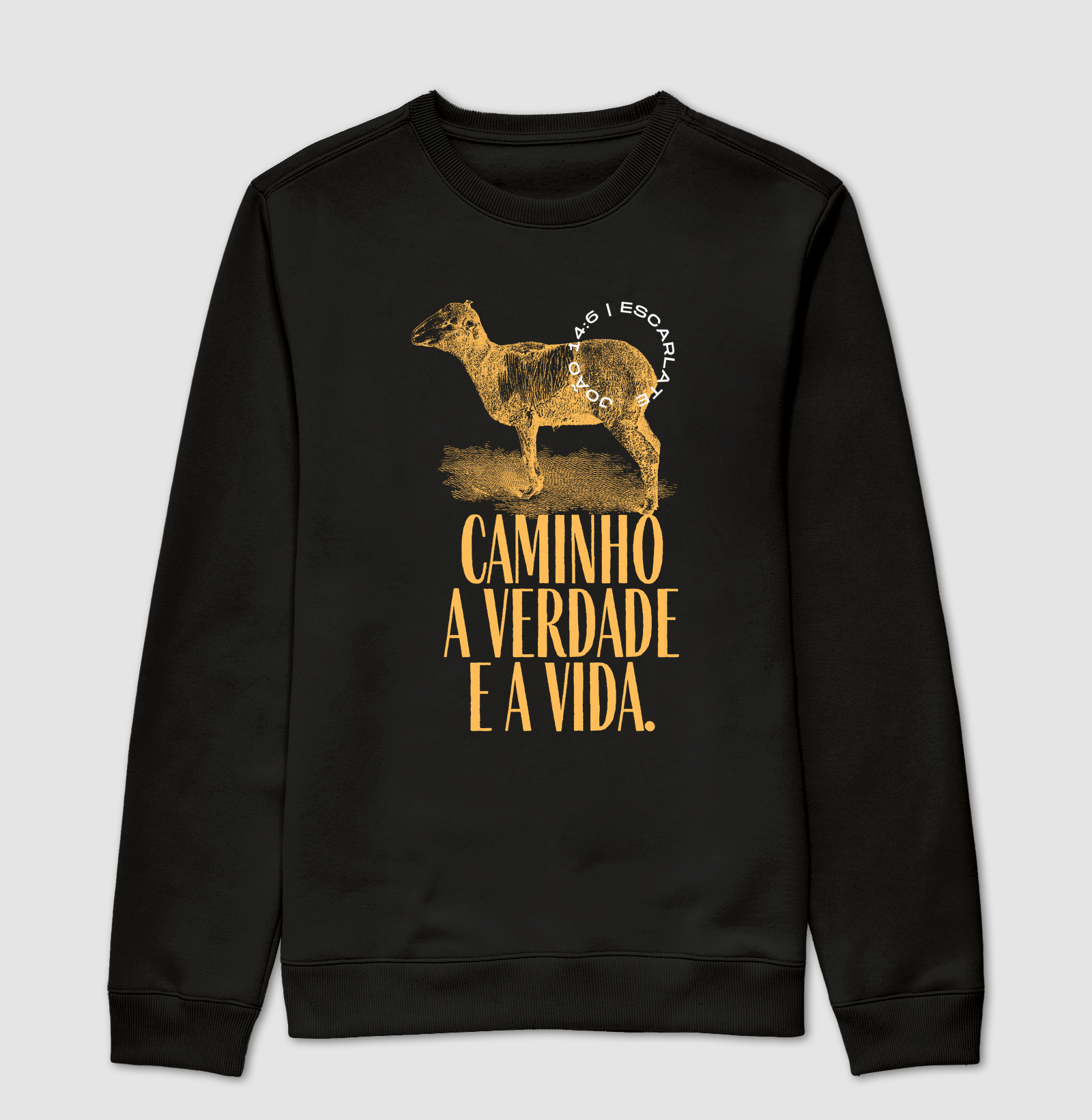 O CAMINHO, A VERDADE E A VIDA