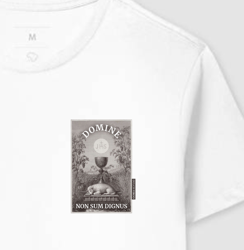 Domine, non sum dignus!