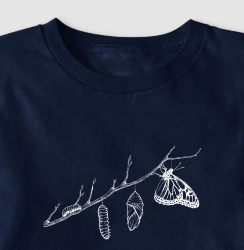 Borboleta evolução