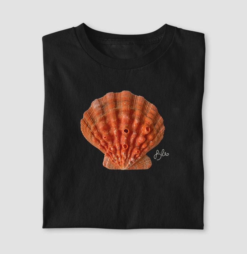 Coquille Saint Jacques