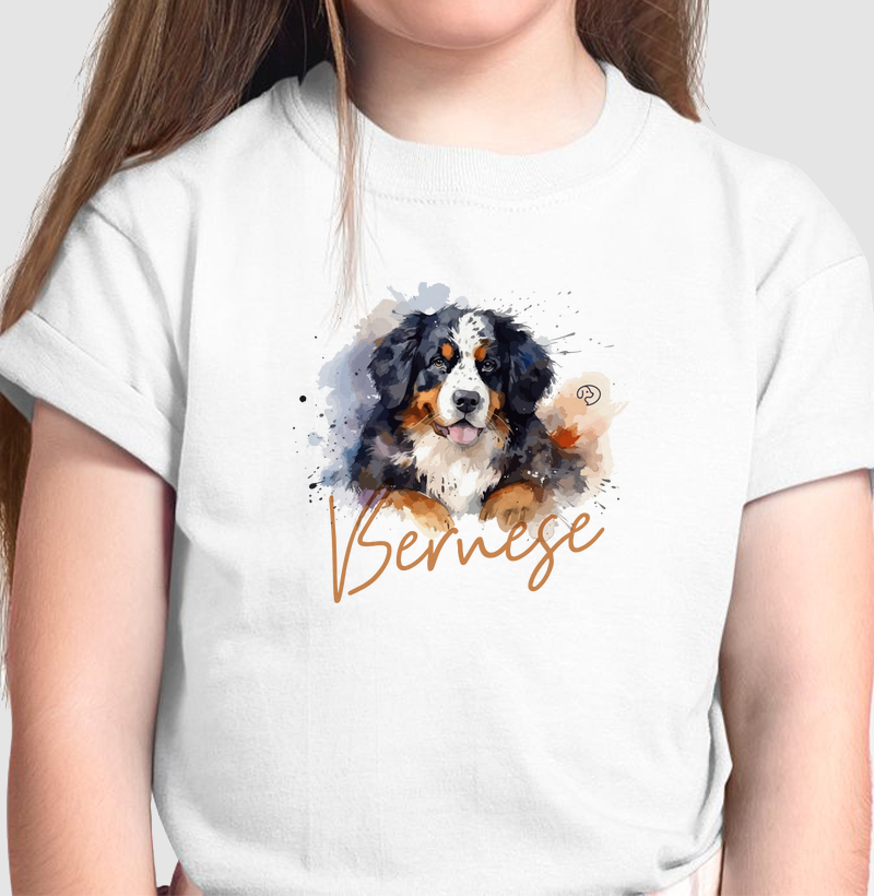Bernese Splash 2
