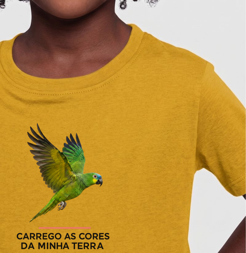 As cores da minha terra