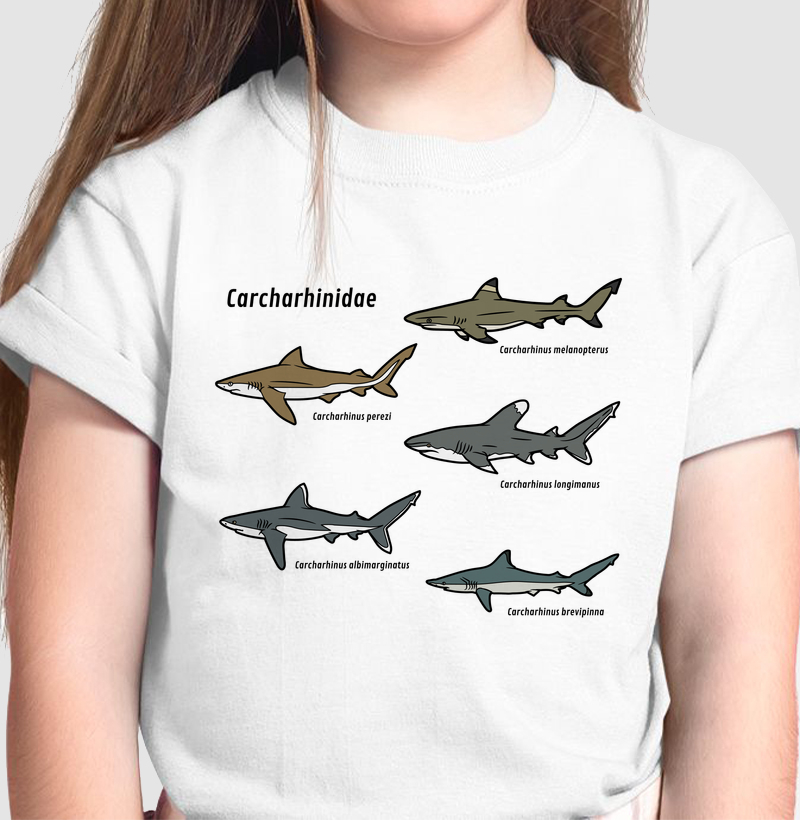 Carcharhinidae